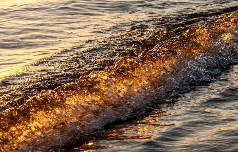 Nature Image